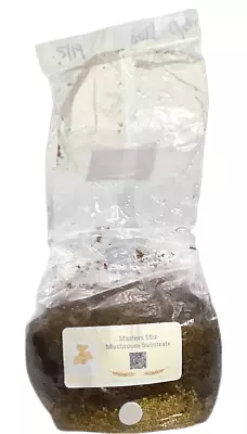 All In One Mushroom Grow Bag | Grow Your Own Gourmet Mushrooms | 5lb Bag • $20.49