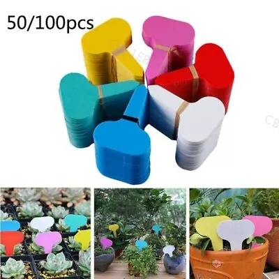 50/100pcs Plant Labels Markers Garden Veg Tags Sign PVC Gardening Stake B21 • $2.93