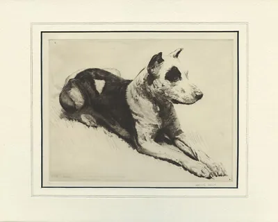 Original 1934 Morgan Dennis Private Commissioned Etching Of  Box  A Great Dane  • $750