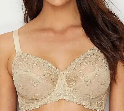 New Wacoal 85720 Renaissance Rose Beige Underwire Bra Size 34DD • $29.50