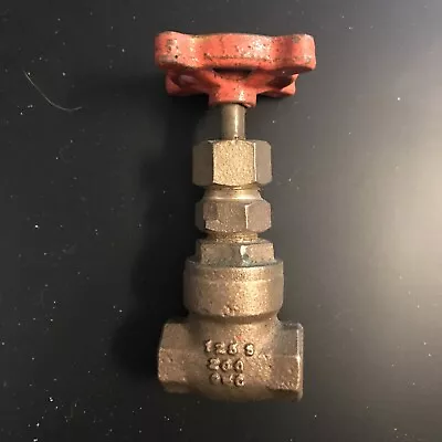 1/4” Brass Gate Valve • $12