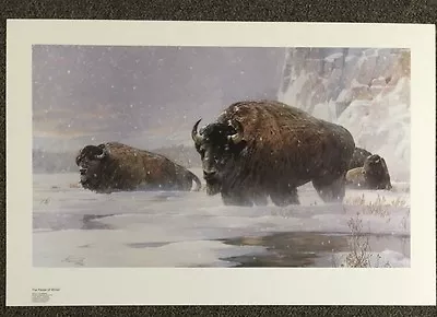  The Faces Of Winter-Buffalo  By Mario Fernandez 1987 30   • $75