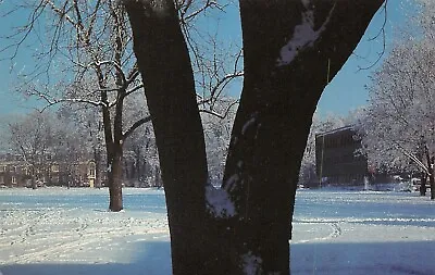 £5.44 • Buy Walla Walla~Snow Covers Ankeny Field (Ultimate Frisbee Course) Whitman College