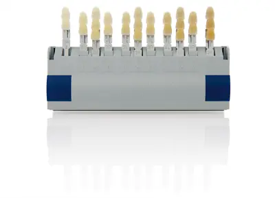 Vita B360AF Toothguide 3D-Master With Bleached Dental Shade Guide GX69-910 • $56.64