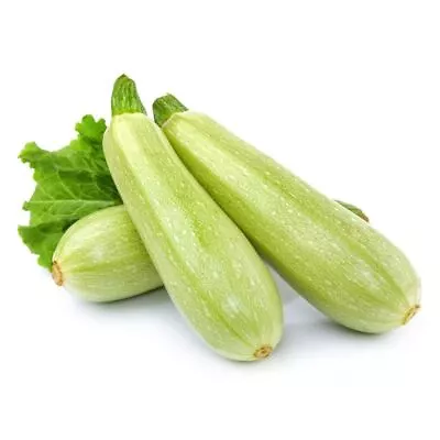 ZUCCHINI Grey Lebanese 7 Seeds HEIRLOOM Vegetable Garden SPRING SUMMER Courgette • $5.34