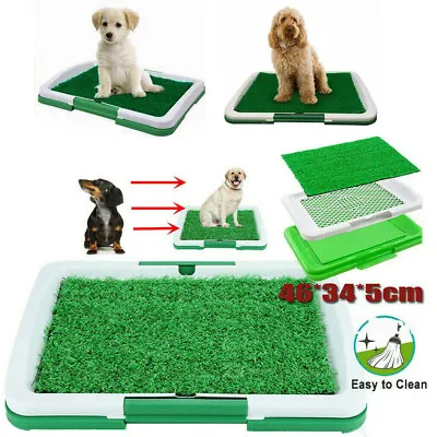 £12.59 • Buy Pet Dog Toilet Mat Indoor Outdoor Restroom Training Grass Potty Pad Loo Tray Pad