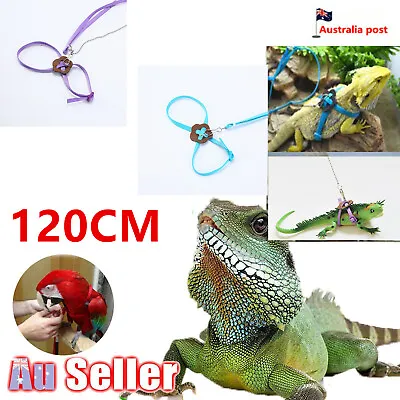 Reptile Harness Adjustable Strap Leash Gecko Lizard Bearded Dragon Blue/Purple • $8.23