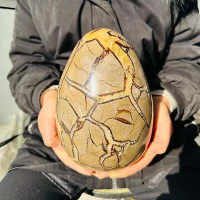 13.75LB Natural Dragon Septarian Geodetic Survey Quartz Crystal Egg Healing6250g • $0.99