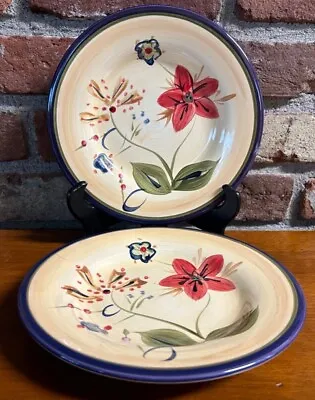 HD Designs Simone Salad Plates Set Of 2 Whimsical Floral Excellent Condition • $8