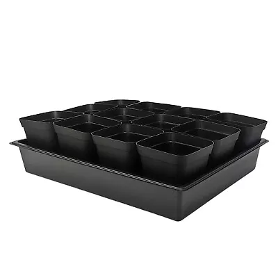 3.5 Inch Square Nursery Pots 60pcs Sturdy Seed Starter Trays 5 Pcs Seeds St... • $58.88