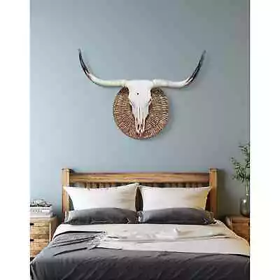 Longhorn Cow Skull| Euro Mount |Taxidermy|Western Boho |Rustic Western Decor 511 • $690
