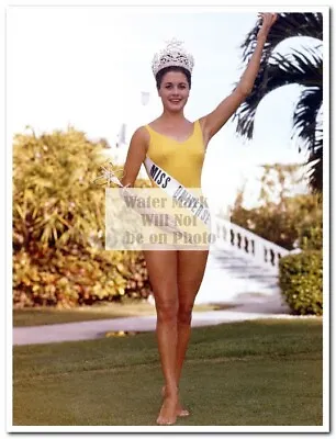 Norma Nolan - Miss Universe 1962 From Argentina -Press Photos #1-9 (8 X10 ) Rare • $11.99