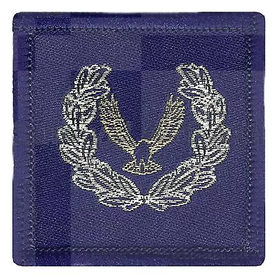 ATC Master Cadet Cloth Badge • £2.45