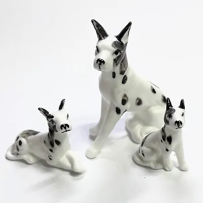Vintage Set Of 3 Bone China Miniature Harlequin Great Dane Dog Figurines Japan • $34.99