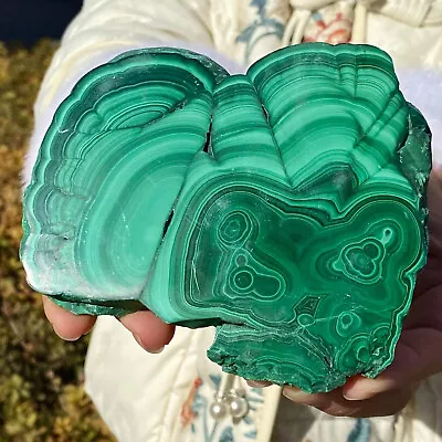 430G Natural Glossy Malachite Transparent Cluster Rough Mineral Sample • $1.25