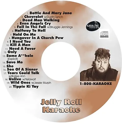 CUSTOM KARAOKE JELLY ROLL 20 GREAT SONG Cdg CD+G HARD-TO-FIND SON OF A SINNER + • $39.95