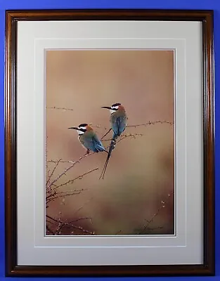 Thomas D Mangelsen Signed & Numbered  African Bee-Eaters  Color Photography • $299.99