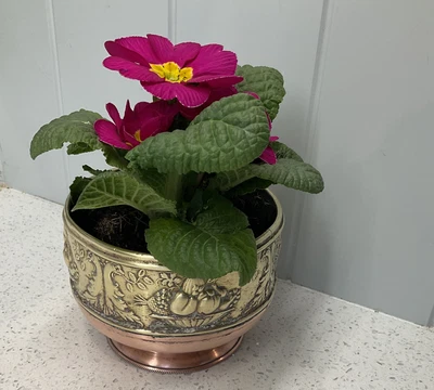 £5 • Buy Vintage Copper And Brass Plant Holder