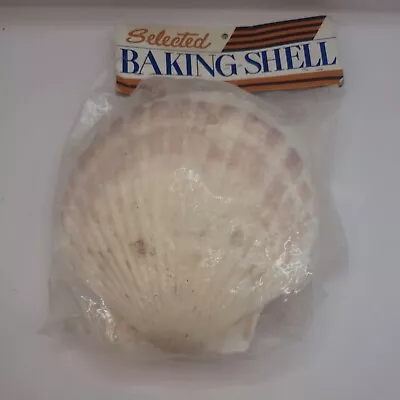 6 Scallop Sea Shells Large 6” Beach Decor Craft Baking Serving NOS • $34.95