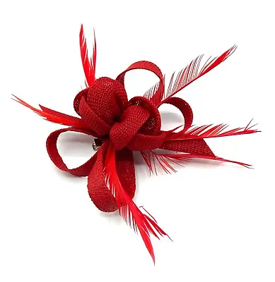 Ladies Feather Beak Clip Fascinator Weddings Races Royal Ascot Hair Clip • £9.99