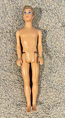 1968  Male Barbie With Molded Brown Hair Blue Eyes • $20