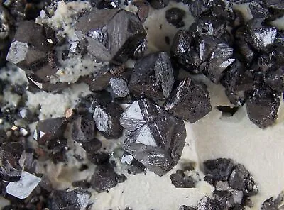 MAGNETITE CRYSTALS - 10 Cm - Large - BROSSO MINE ITALY 28049 • $48