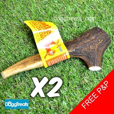 £11.94 • Buy 2 X Antler Dog Chews Small Medium Large XL Stag Deer Bar Horn Natural Chew Antos