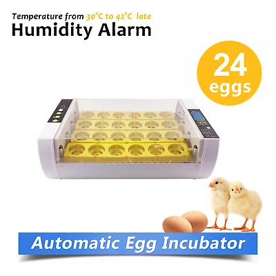 Fully Automatic Incubator Kit 24 Eggs To 112 Eggs Large Capacity  • $99