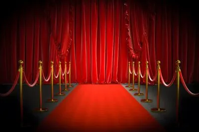 Red Carpet Backdrop Curtain Background Hollywood Star Red Photo Studio Props • £16.79