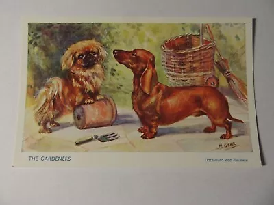 S005 DACHSHUND & PEKINESE The Gardeners ~ Mabel Gear MINT J Salmon Postcard • £3.50