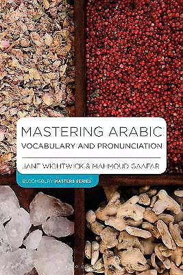 Mastering Arabic Vocabulary And Pronunciation - 9781352002256 • £20.25