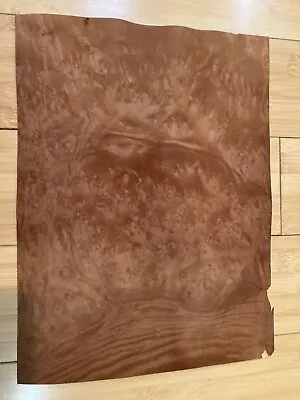 AAA Exotic Madrone Burl Wood Veneer—-2 Sheets   8” X 11.5” Each • $8
