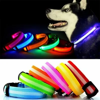 £4.74 • Buy Bunty Adjustable LED Flashing Light Safety Luminous Dog Puppy Pet Glowing Collar