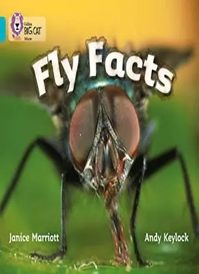 Collins Big Cat - Fly Facts: Band 07/Turquoise By Janice Marriot Andy Keylock • £2.51