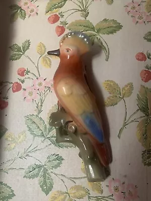 1920 To 30's Vintage Czechoslovakia Tropical Bird Wall Pocket • $15