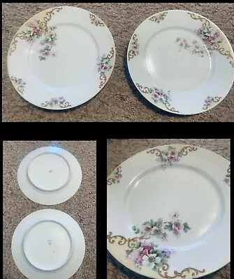 Set Of 2 Vintage TK Thuny China 10” Dinner Plates Lot Floral Czechoslovakia • $4.99