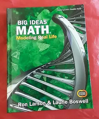 New Big Ideas Math Modeling Real Life Model DNA Double Helix 6. Larson 2019. • $28