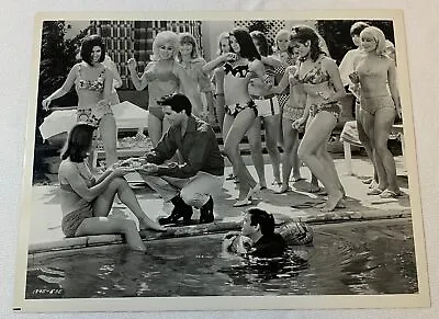 1966 ELVIS PRESLEY 8x10 Movie Still ~ SPINOUT By The Pool • $9.95