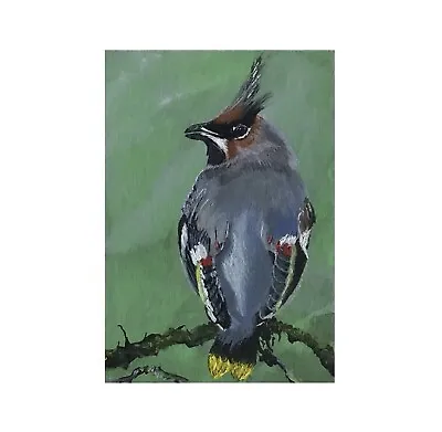 ACEO Original Acrylic Painting - Waxwing • £7.50