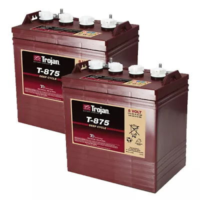 Trojan T-875 8V 8 Volt Golf Cart Battery Battery RV Marine Solar Deep Cycle X2 • $888.55