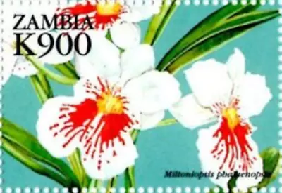 Zambia #Mi892 MNH 1999 Orchids Miltoniopsis Phalaenopsis [762b] • $2.30