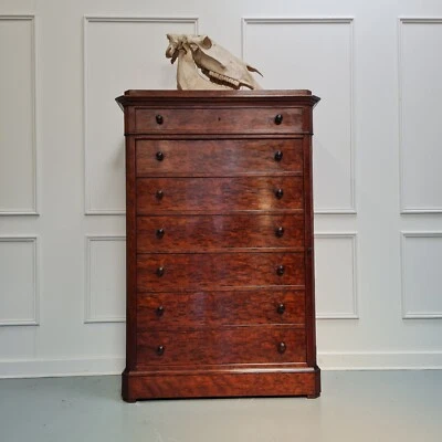 Antique French Collectors Or Wellington Chest C1870 FREE DELIVERY ENGLAND/WALES • £1350