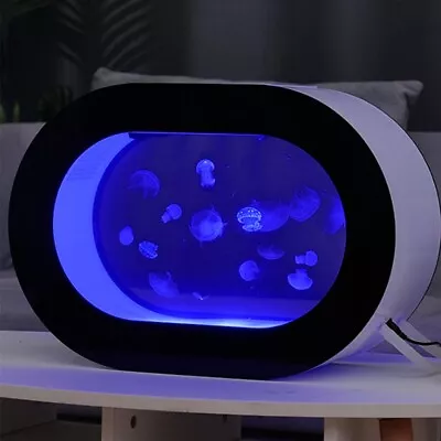 Oval Desktop Jellyfish Aquarium Tank Kit For Real Live Jellyfish Fish Tank 4L • £195