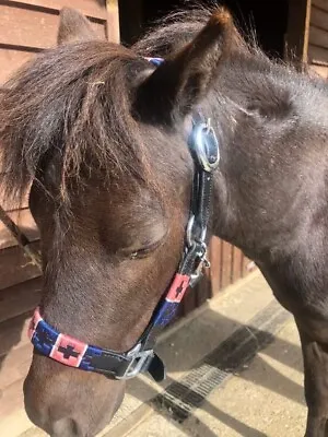 Mini Shetland Leather Head Collar Polo All Multi Colours Available • £20