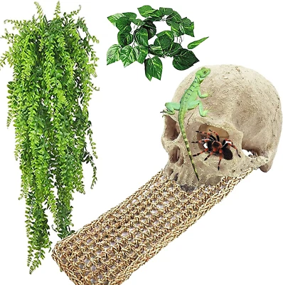 $21.45 • Buy Reptile Habitat Skull Decoration Bearded Dragon Tank Accessories Resi...