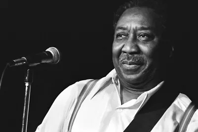 Musician Muddy Waters Father Of Modern Chicago Blues Picture Photo 5  X 7   • $9.50