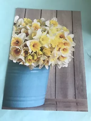 Daffodil’s In A Vase.  Colour Marie Curie Great Daffodil Appeal Postcard • £1