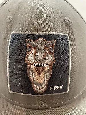 Beautiful Giant T-Rex Baseball Cap Embroidered Patch Adjustable • $9