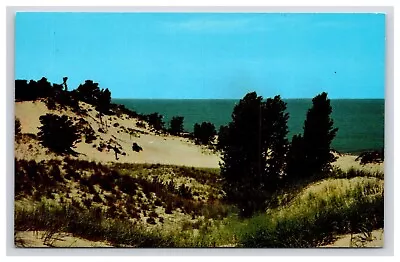 Postcard: IN Shifting Sands Lake Michigan Michigan City Indiana - Unposted • $5.96