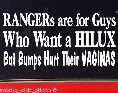 $6.90 • Buy For HILUX 4x4 Ute Canopy Car Accessories Funny Stickers BUMPS 200mm 